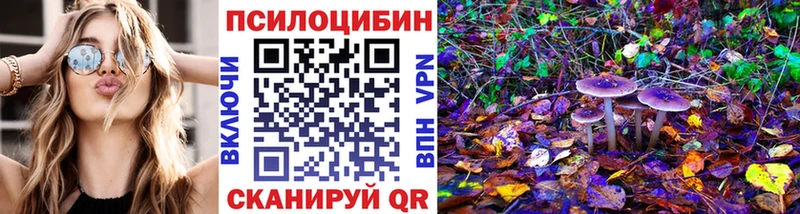 закладки  Калязин  Псилоцибиновые грибы мухоморы 